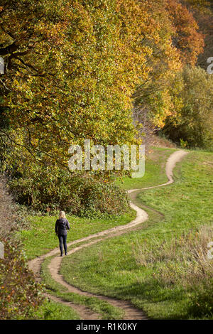 UK Weather: A beautiful autumn day in Hampstead Heath, North London, 13th November 2018. Where the trees are in full colour and people are enjoying the good autumn weather. Credit: David Bleeker Photography.com/Alamy Live News Stock Photo