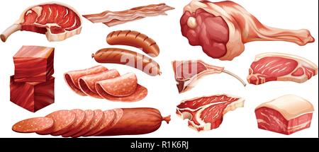 Set of different meats illustration Stock Vector
