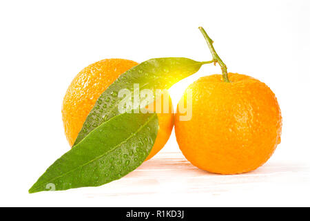Tangerines with leaves and water drops on white wooden background, closeup with sunshine between the  both fruits and leaves Stock Photo