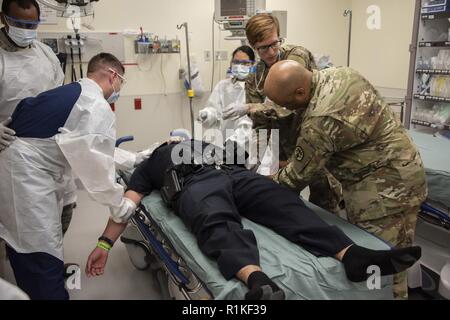 Members of Brooke Army Medical Center’s medical staff simulate providing emergency care to an exercise role player during the 2018 San Antonio Mass Casualty Exercise and Evaluation at Brooke Army Medical Center, Fort Sam Houston, Texas, Oct. 11, 2018. SAMCEE is an annual exercise designed to test the capabilities of hospitals and emergency responders in the San Antonio area. ( Stock Photo