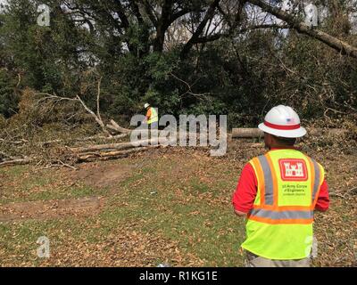 The U.S. Army Corps of Engineers is executing FEMA Mission Assignments following Hurricane Michael including one for Debris Technical Assistance and Route Clearance in Florida. In Snead today, crews were working to clear debris to make room to put poles back up to restore power. “We’re working with the power company here to clear rights of way so their crews can work to restore power to these communities here, replacing power poles and lines,” said Santiago Rosales who deployed to Florida from the Fort Worth District to help with storm response. “It’s rewarding work. We’re helping our communit Stock Photo