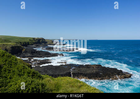 green hills and rugged coastline of the Nobbies in Philip Island, Victoria, Australia. Stock Photo