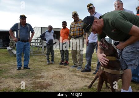FORT BENNING, Ga. (Oct. 18, 2018) – Jegs, a military working dog, meets former members of the 60th Infantry Platoon (Scout Dog) and their Family members. The six Vietnam War veterans visited Fort Benning Oct. 17 after almost 50 years to see how military working dogs were employed today. Stock Photo