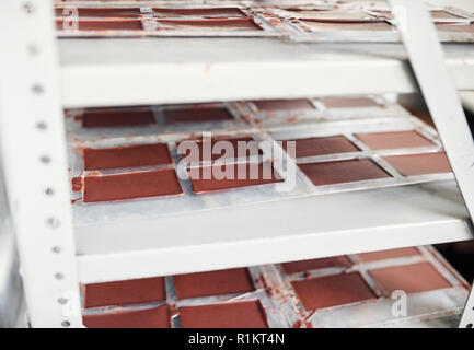 Bars of chocolate cooling in plastic molds on a shelf Stock Photo