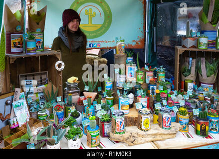 Young lady  stallholder with display gifts of small potted plants from the Plant Preservation Society for sale in Saltburn Farmers Market in Autumn wi Stock Photo