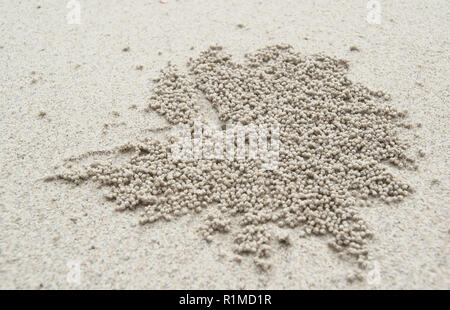 Patterns from balls of crabs soldiers on the sandy beach Stock Photo
