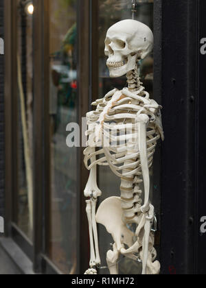 Skeleton in front of the Evolution Store, SoHo, Lower Manhattan, New York City, New York State, USA Stock Photo