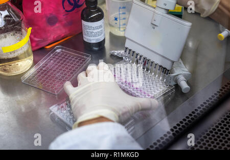 Biomedical research in biotechnology laboratory Stock Photo