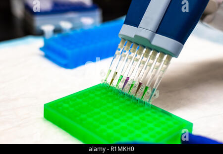 Biomedical research in biotechnology laboratory