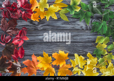 elevated view of frame of autumnal maple leaves on wooden grey surface Stock Photo