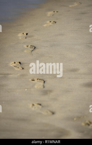 Detail shot with man footprints in the sand on a beach Stock Photo - Alamy