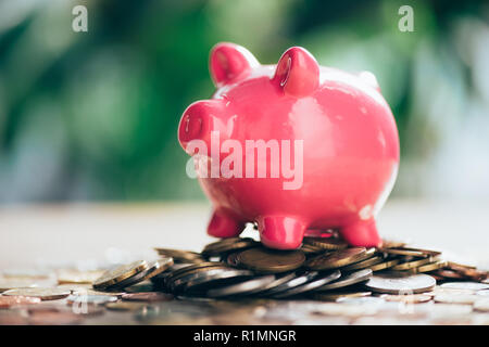 close-up view of pink piggy bank on pile of coins Stock Photo