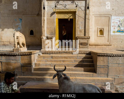 Cow on the street in Jaisalmer. India June 2018 Stock Photo