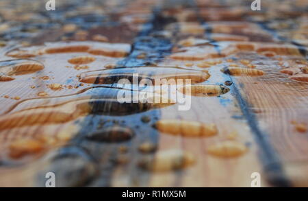 Large water drops on a wooden table Stock Photo