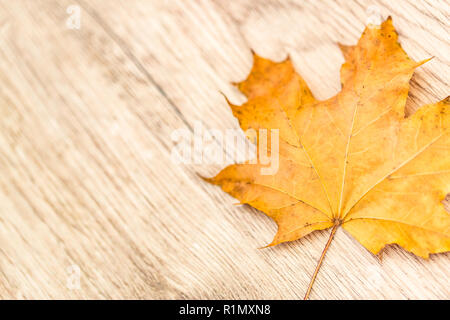 wood-texture-abstract-wooden-background-stock-photo-alamy