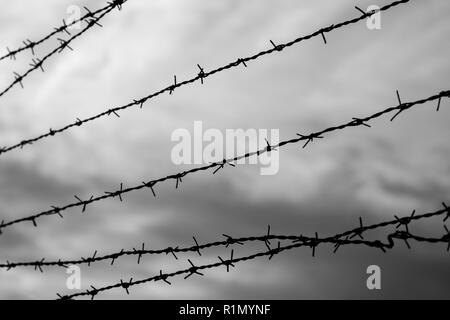 Silhouette of barbed wire fence against blurry cloudy sky in the evening in black and white. Focused on the foreground. Stock Photo