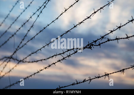 Silhouette of barbed wire fence against blurry cloudy sky in the evening. Focused on the foreground. Stock Photo