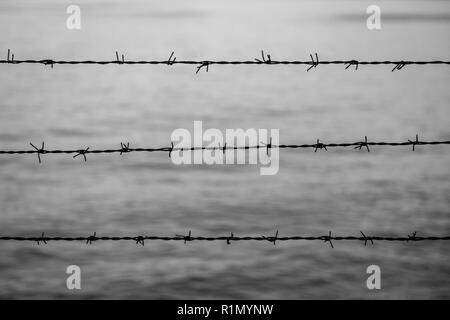 Silhouette of barbed wire fence against blurry water in the evening in black and white. Focused on the foreground. Stock Photo