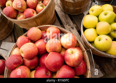 Fresh food produce apples in a bushel basket at the market Stock Photo