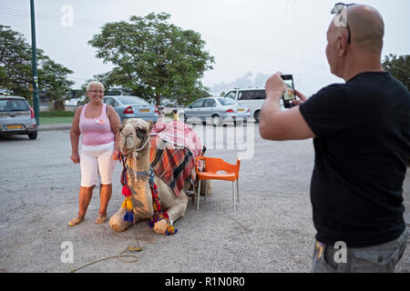 Tourists pose for a photo near a camel at Emek Habokrim, a farm on the road from the Golan Heights to Jerusalem, Israel. Stock Photo