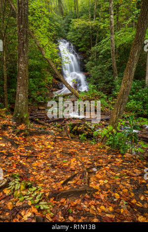 Log Hollow Falls in autumn, Pisgah National Forest, Brevard, North Carolina Stock Photo