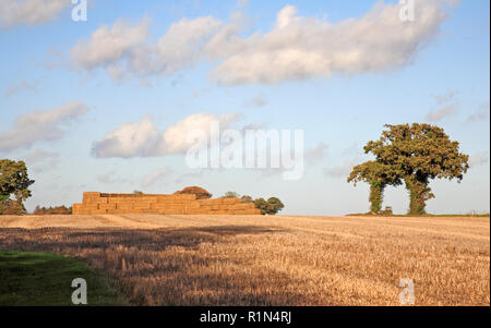 An autumn farmland scene of stubble field and straw stack in the countryside at Billockby, Norfolk, England, United Kingdom, Europe. Stock Photo