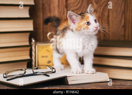 The cat stands on the book and looks to the right side