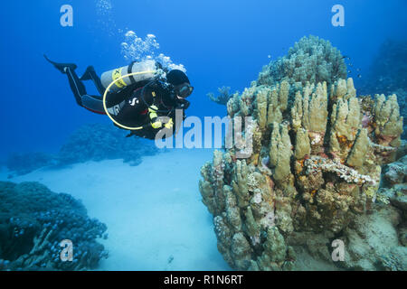 Male scuba diver look at on beautiful coral reef Stock Photo