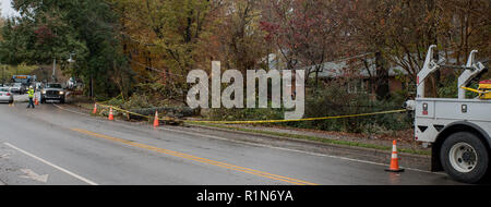 Carrboro, North Carolina, US-November 13, 2018: Workers repairing power lines after tree fell on them in storm Stock Photo