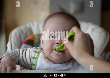 The first feeding of the baby from the spoon. Mom feeds baby homogenized chopped food with a spoon. child care. lifestyle. Stock Photo