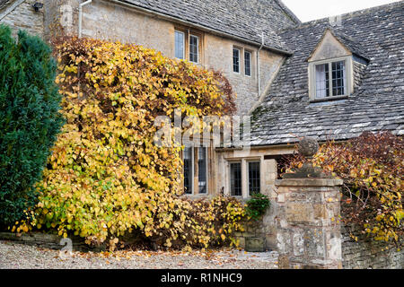 Climbing hydrangea plant in the autumn on a Cotswold stone house in Great Rissington, Cotswolds, Gloucestershire, England Stock Photo