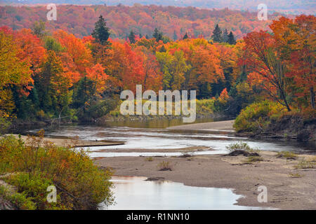 Autumn foliage along the Goulais River, Heyden, Ontario, Canada Stock Photo