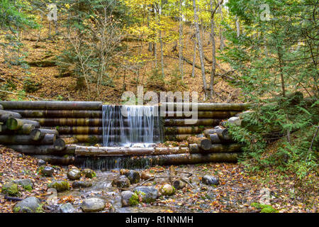 A log dam at Iargo Springs. These are naturally occurring springs. The photo was taken on a fall day in October, and the ground was covered in leaves. Stock Photo
