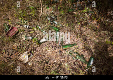 Iguala, Guerrero, Mexico - Disgraced beer bottles found, as family members of missing people search the mountains surrounding the city of Iguala for clandestine graves, Iguala, Guerrero, Mexico, November 29, 2014. Trash often alerts searches to potential gravesite. Iguala is the location where 43 students were allegedly kidnapped by local police and handed over to the local cartel Guerreros Unidos. Through searches for the students, many mass graves have been found in the rural mountains in the area. Stock Photo