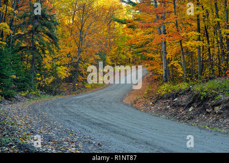 Autumn foliage in maples along the North Shore Road, Greater Sudbury (Penage Lake area), Ontario, Canada Stock Photo