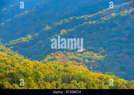 Autumn foliage on the slopes of Mt. Le Conte from the Campbell Overlook, Great Smoky Mountains National Park, Tennessee, USA Stock Photo