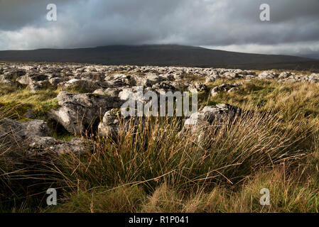 A distant Whernside peak seen under Autumnal clouds from a limestone pavement area near Ribblehead station, Yorkshire Dales National Park