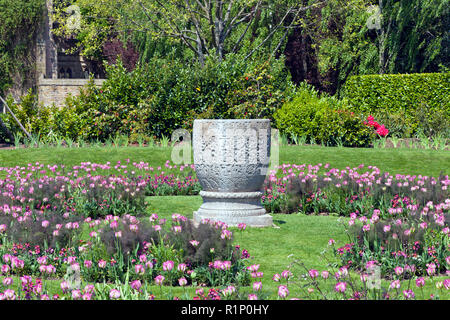 Stone ornamental vase among flowering pink tulips, in a colorful garden in rural England countryside, on a summer sunny day . Stock Photo