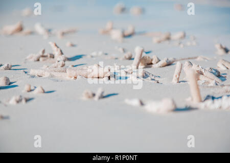 White coral beach background texture, tropical beach abstract background Stock Photo