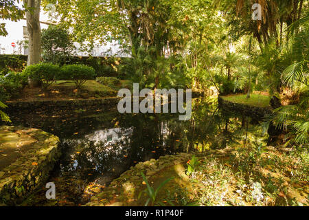 Antonio Botanical Garden in Ponta Delgada. Ponta Delgada on the
