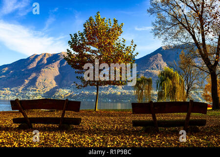 Romantic autumn, benches on Lake Maggiore, landscape, Locarno Switzerland Stock Photo