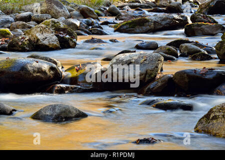 Autumn foliage reflected in the Middle Prong of the Little River at Tremont, Great Smoky Mountains National Park, Tennessee, USA Stock Photo