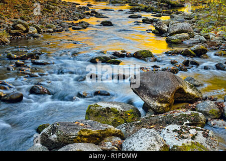 Autumn foliage reflected in the Middle Prong of the Little River at Tremont, Great Smoky Mountains National Park, Tennessee, USA Stock Photo