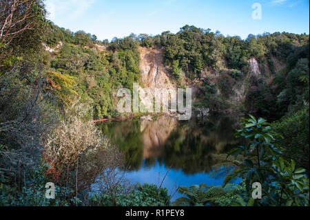 Southern Crater, Waimangu Volcanic Valley, Rotorua, New Zealand. Pink agae blooms on the edge of volcanic lake surrounded by deep forest covered cliff Stock Photo