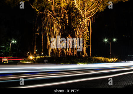 Blurred motion of a ray of light on the road next to the chimerical Indonesian tree. Interesting and abstract lights in orange that can be used as background or texture Stock Photo