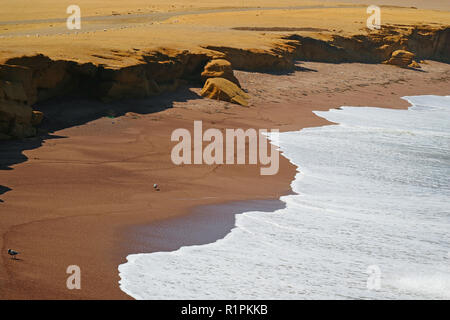 The Red Beach or Playa Roja with pure white wave foam from the Pacific ocean, Paracas National Reserve in Peru Stock Photo