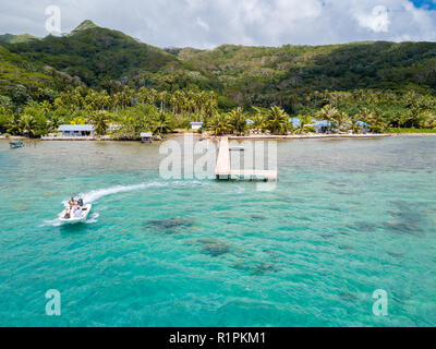 Tourists riding high speed jet boat in a stunning azure blue turquoise lagoon, green emerald island in back. Raiatea, French Polynesia, Oceania. Stock Photo