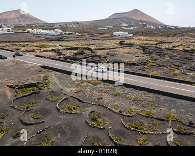 Aerial view of the wine cultivations on the volcanic soils of the island of Lanzarote,  Canary Islands, Spain. Wine production Stock Photo