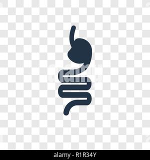 Intestines vector icon isolated on transparent background, Intestines transparency logo concept Stock Vector