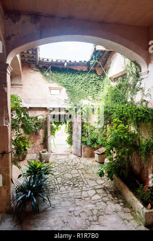 Plants in rustic Mediterranean courtyard Stock Photo